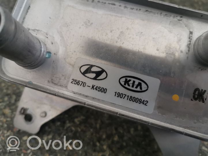 Hyundai Kona I Kita variklio detalė 25670K4500