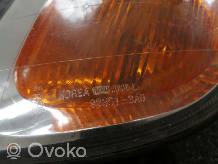 Hyundai Trajet Front indicator light 923013A0