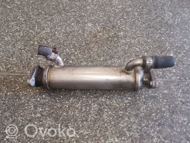 Citroen Jumper Valvola di raffreddamento EGR 869688X