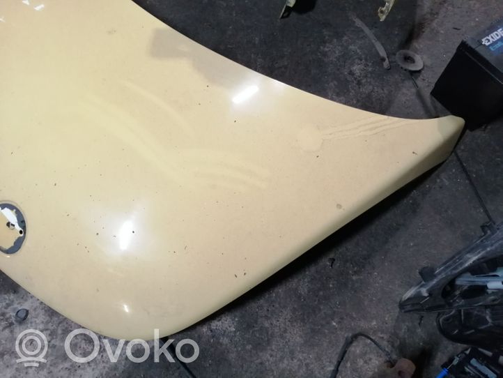 Volkswagen New Beetle Engine bonnet/hood 