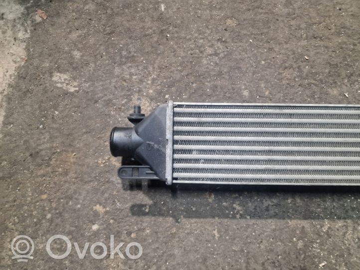 Fiat Punto (199) Chłodnica powietrza doładowującego / Intercooler 