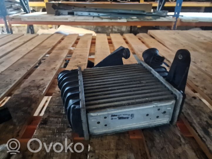 Volkswagen Cross Polo Chłodnica powietrza doładowującego / Intercooler 