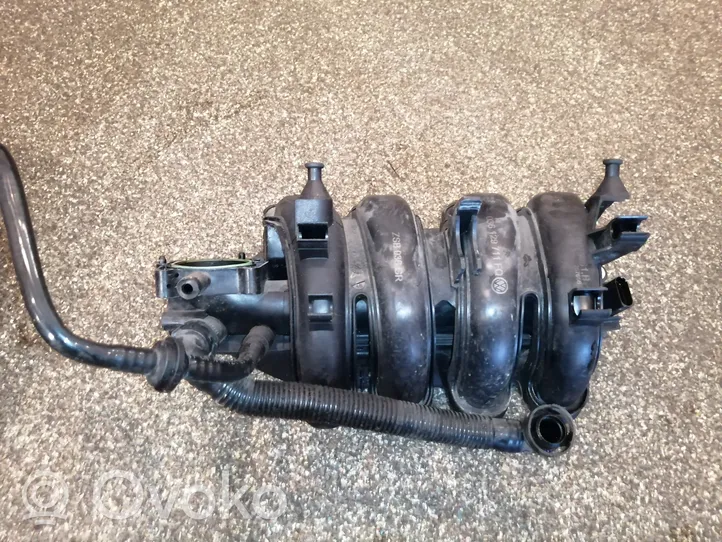 Volkswagen Golf Plus Intake manifold 036129711FQ