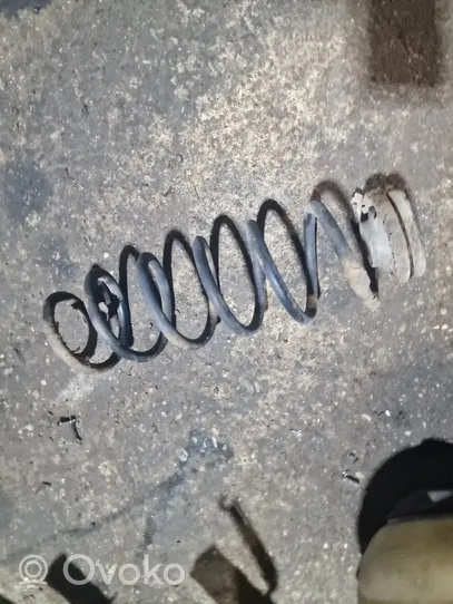 Volkswagen Bora Rear coil spring 