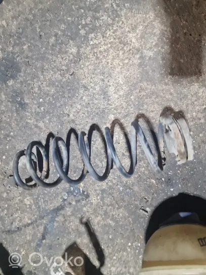 Volkswagen Bora Rear coil spring 