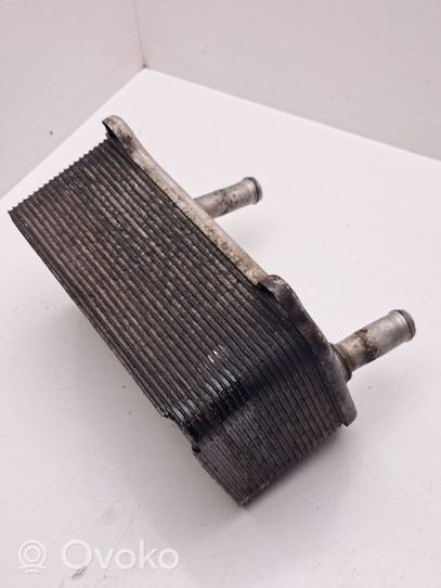 Porsche Cayenne (9PA) Supporto di montaggio del filtro dell’olio 8463341