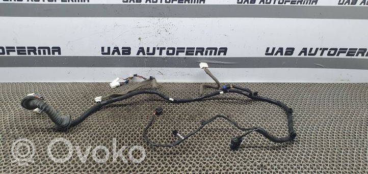 Nissan Qashqai Priekinių durų instaliacija 241254EA4D