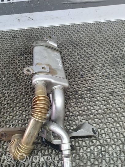 Nissan Juke I F15 EGR-venttiili/lauhdutin 147350364R