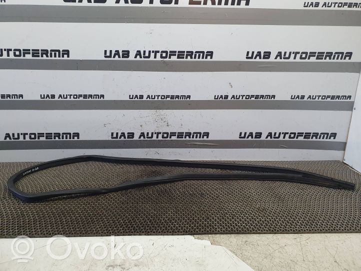 Nissan Qashqai Rear door rubber seal (on body) 