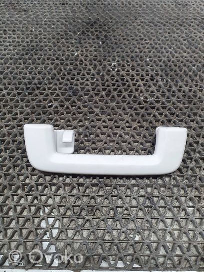 Ford Focus Rear interior roof grab handle 