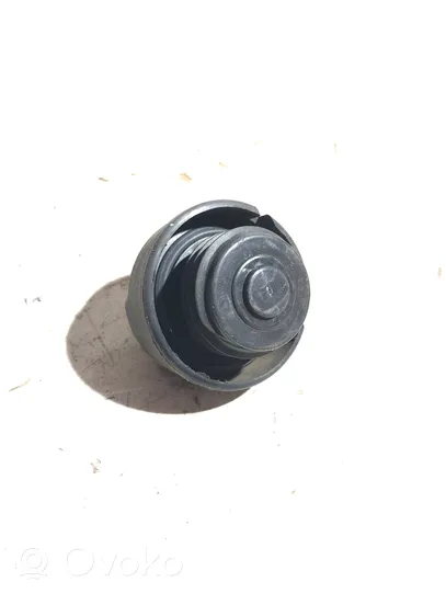 Volkswagen Touareg I Fuel tank filler cap 