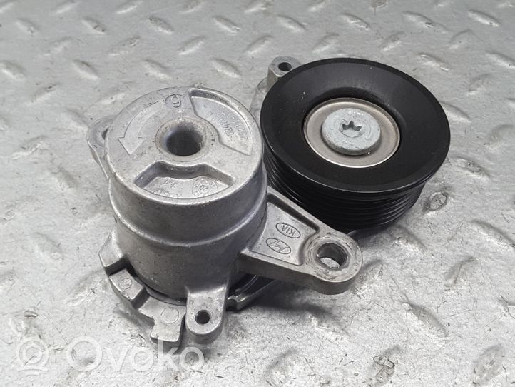 252810700 Hyundai i20 (BC3 BI3) Generator/alternator belt  