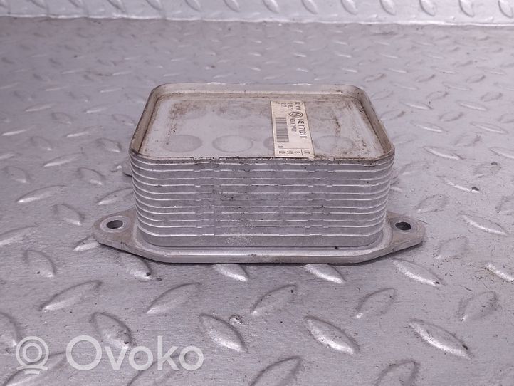 Skoda Fabia Mk3 (NJ) Supporto di montaggio del filtro dell’olio 04E117021K