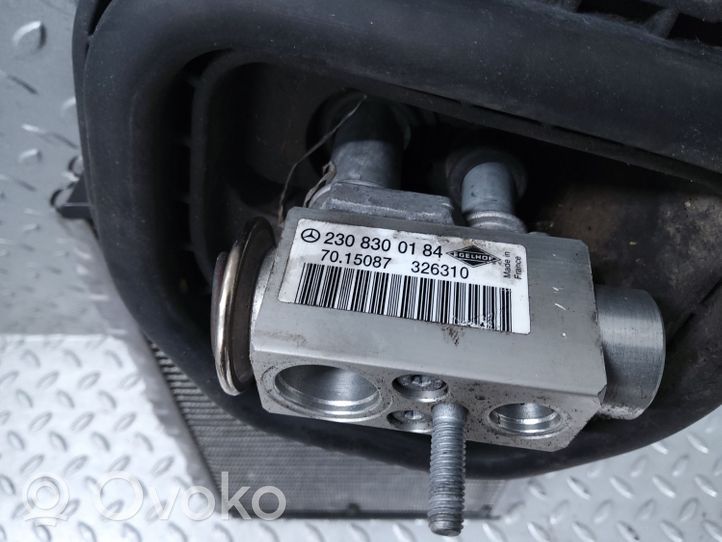 Mercedes-Benz GLK (X204) Radiatore aria condizionata (A/C) (abitacolo) A2308300184