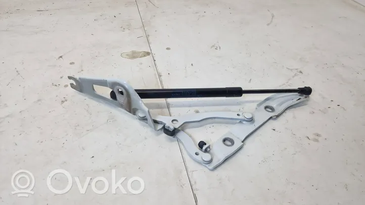 BMW 2 F22 F23 Tailgate/trunk/boot hinge 7304558