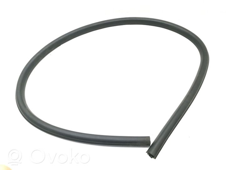 Audi A5 8T 8F Rubber seal front coupe door 8T0831707D