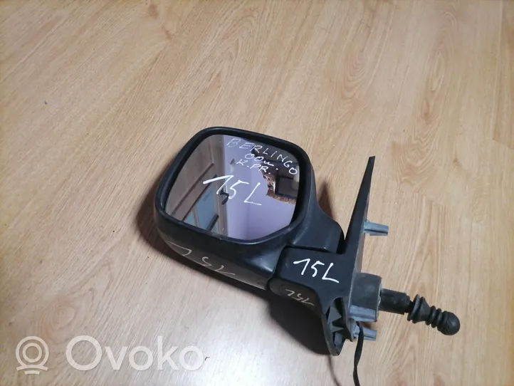 Citroen Berlingo Manual wing mirror 