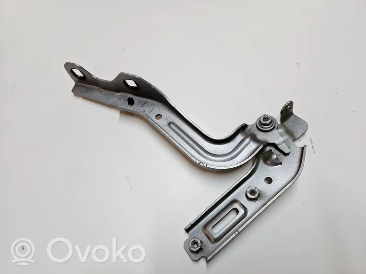 Chrysler Pacifica Engine bonnet/hood hinges VR022