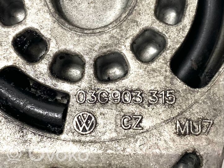 Volkswagen Caddy Tendicinghia generatore/alternatore 03G903315