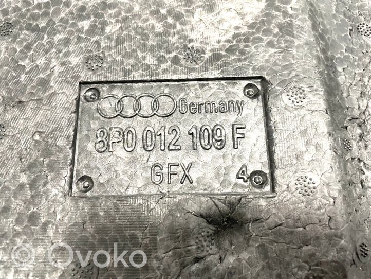 Volkswagen Golf VI Instrumentu kaste 8P0012109F