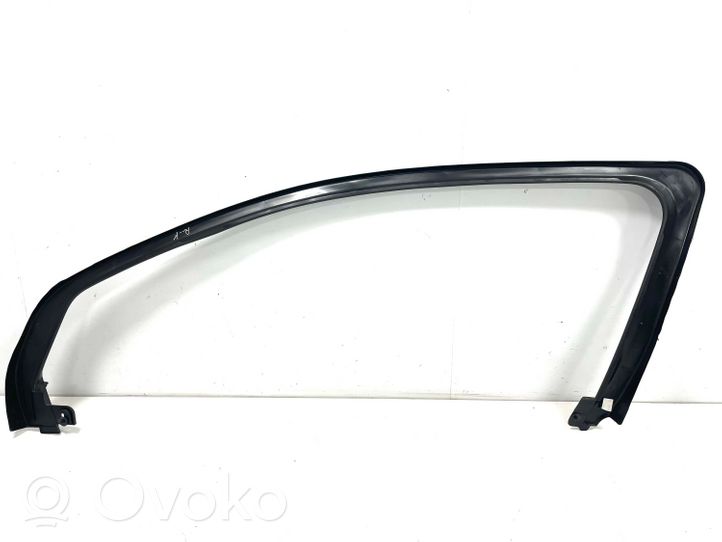 Opel Ampera Cornice del finestrino/vetro portiera anteriore 802579867