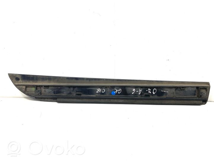 Audi A6 S6 C6 4F Moulure de porte arrière 4F0853960