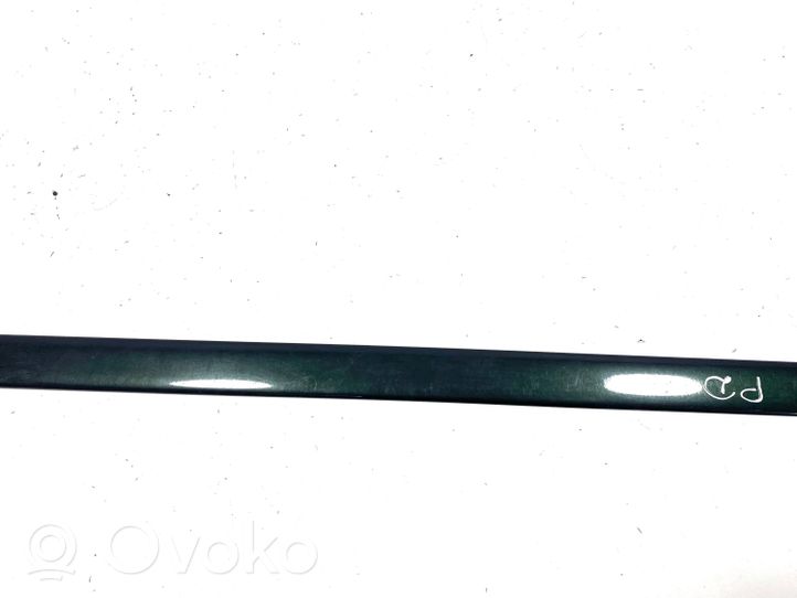 Jaguar S-Type Moulure de porte avant XR835420780AA