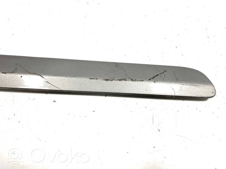 Mercedes-Benz B W245 Front door trim (molding) A1696981962