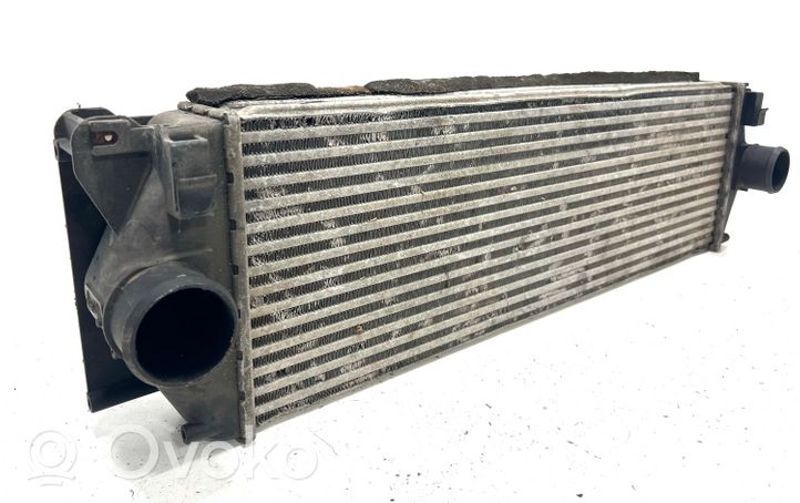 Mercedes-Benz Sprinter W906 Intercooler radiator A9065010101