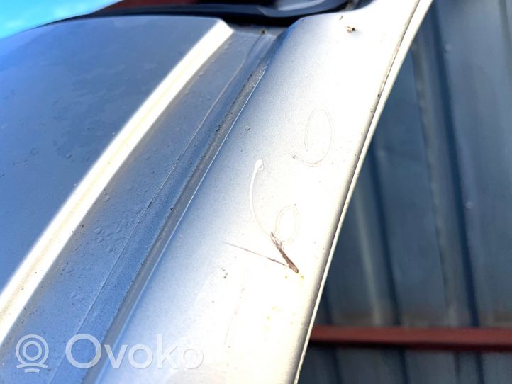 Volvo XC60 Dach 