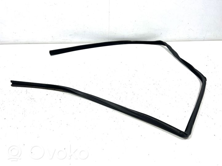 Land Rover Range Rover Sport L320 Guarnizione in gomma finestrino/vetro portiera anteriore CFE000796L3203