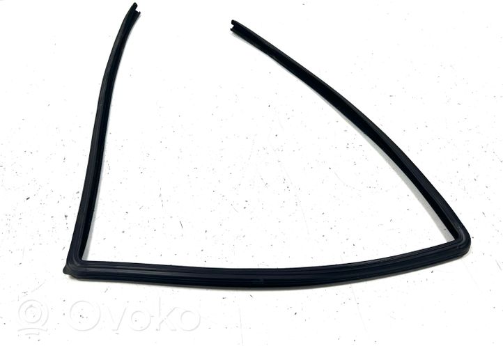 Land Rover Range Rover Sport L320 Rubber seal rear door window/glass CGE000841