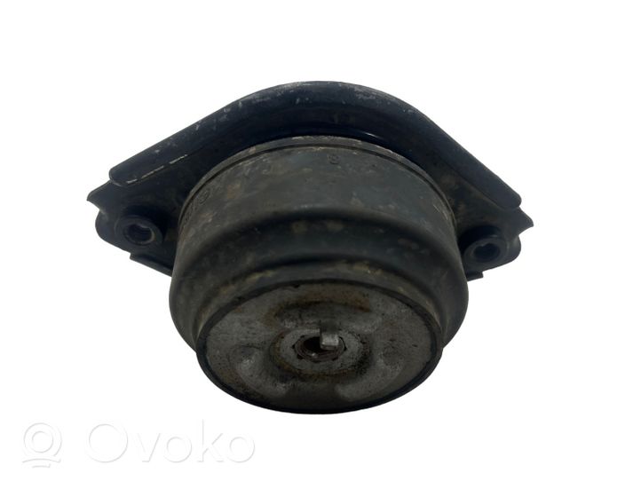 Mercedes-Benz GL X164 Dzinēja spilvens A25124030