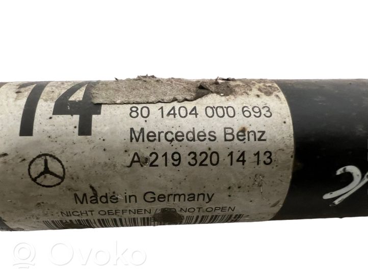 Mercedes-Benz CLS C219 Amortyzator przedni A2193201413