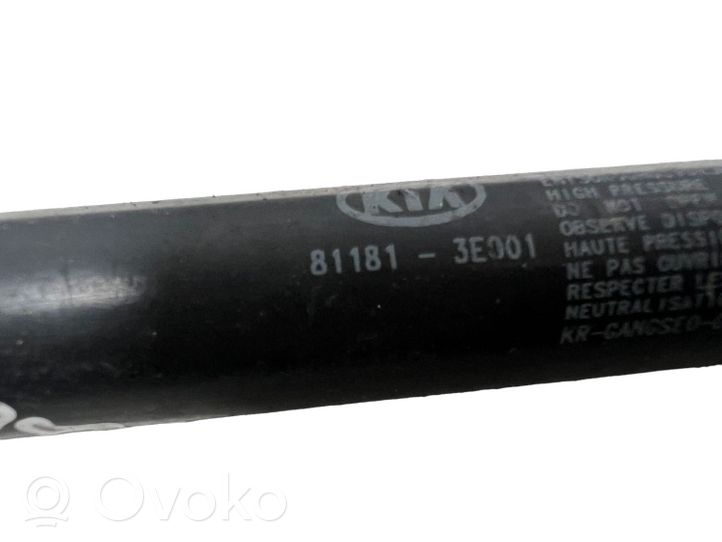 KIA Sorento Vérin, capot-moteur 811813E001