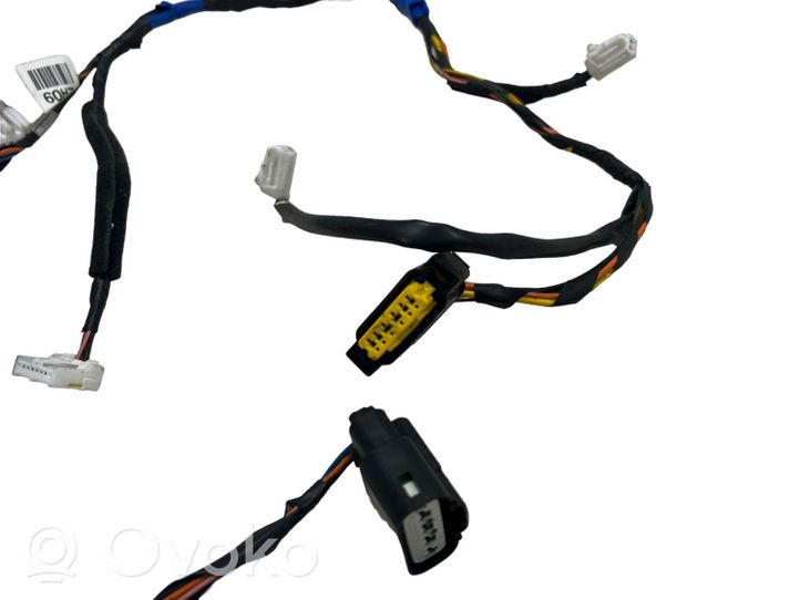 KIA Sorento Rear door wiring loom 916502P881
