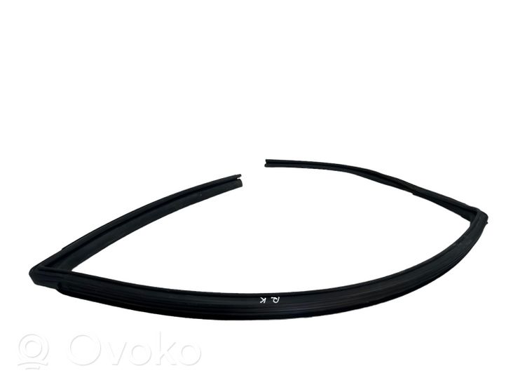 Nissan Qashqai Guma sandarinimo priekinių durų (prie stiklo) 80331JD000