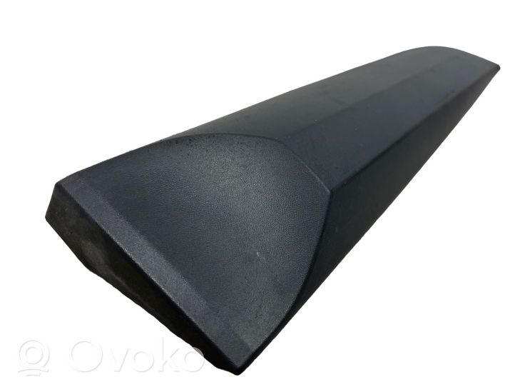 Renault Megane III Rear door trim (molding) 828760001R