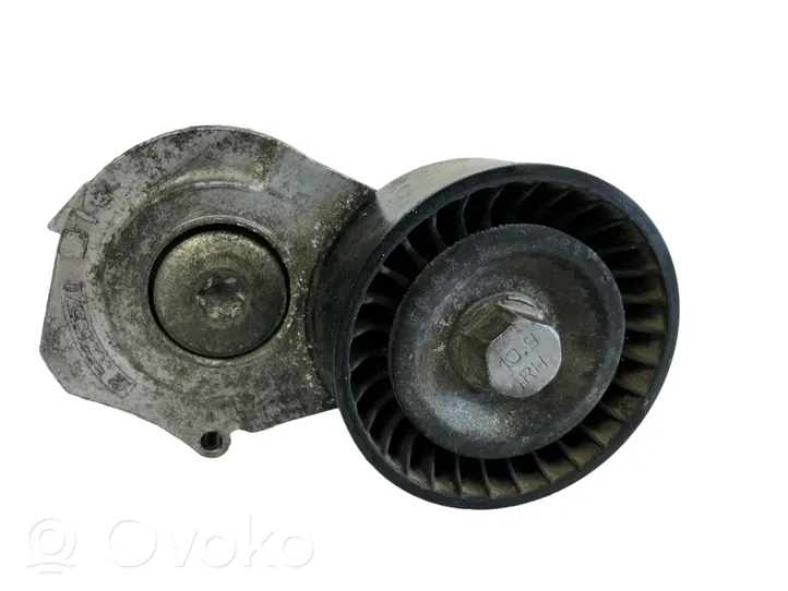 Opel Meriva B Diržo įtempėjo skriemulys 55565570