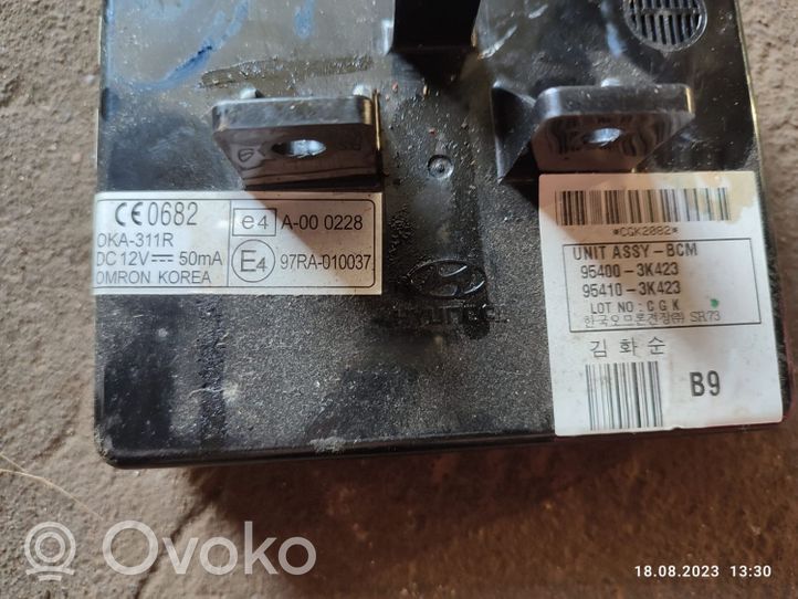 Hyundai Sonata Other control units/modules 954003K423