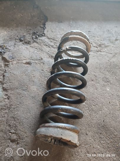 Hyundai Sonata Rear coil spring 