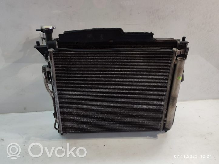 Hyundai Santa Fe Radiator set 