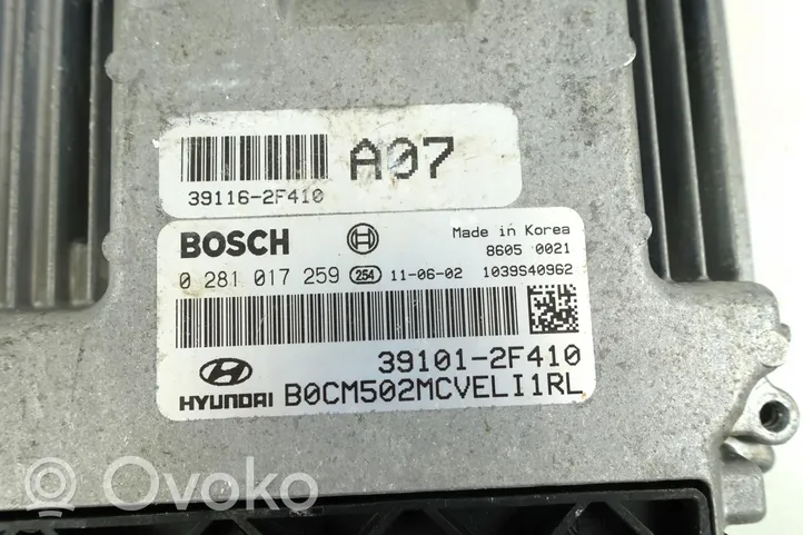 Hyundai Santa Fe Engine control unit/module ECU 0281017259