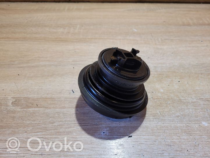 Volkswagen Bora Oil filler cap 038133287