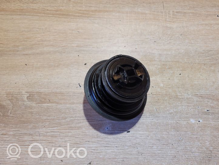 Volkswagen Bora Oil filler cap 038133287