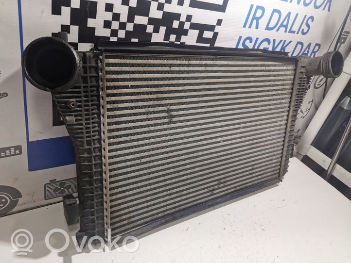 Seat Toledo III (5P) Chłodnica powietrza doładowującego / Intercooler 1K0121345N