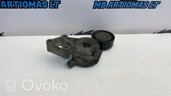 Volkswagen PASSAT B6 Napinacz paska alternatora 06A903315F