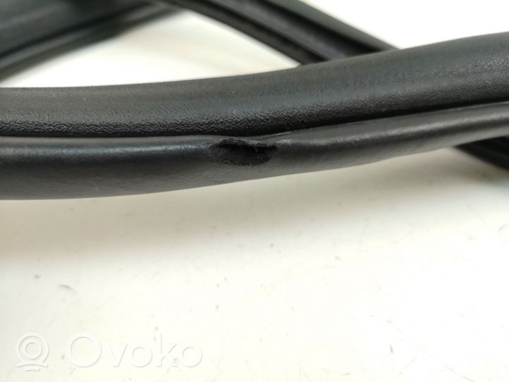 Honda CR-V Rear door rubber seal (on body) 