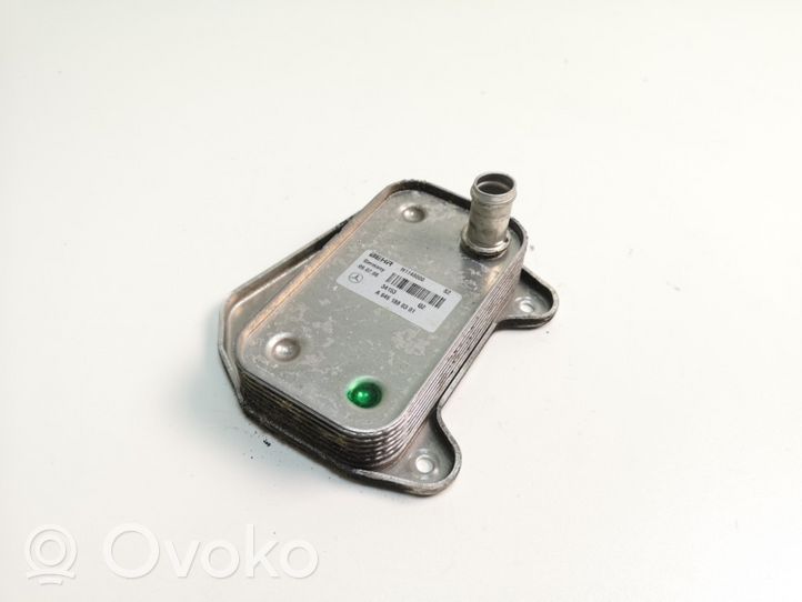 Mercedes-Benz CLC CL203 Supporto di montaggio del filtro dell’olio A6461880301