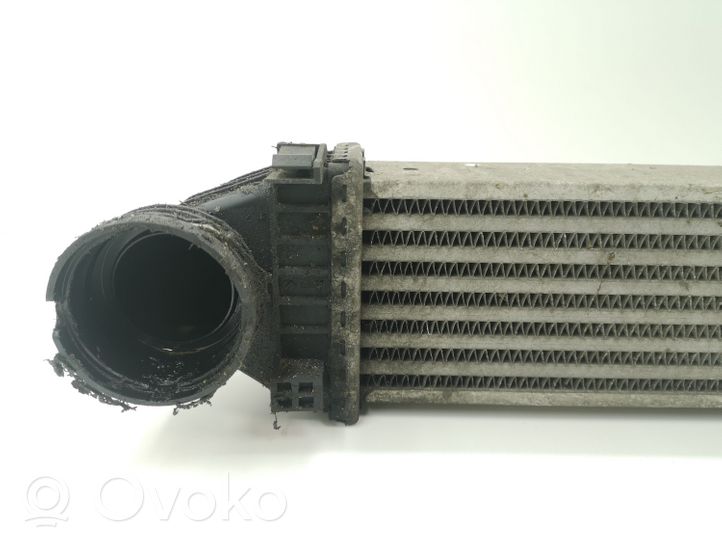 Mercedes-Benz CLC CL203 Radiatore intercooler A1695000000